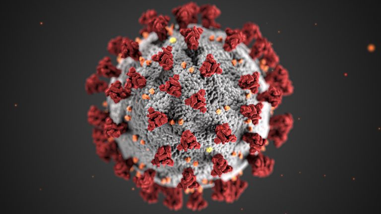 Coronavirus – How do we get a grip?
