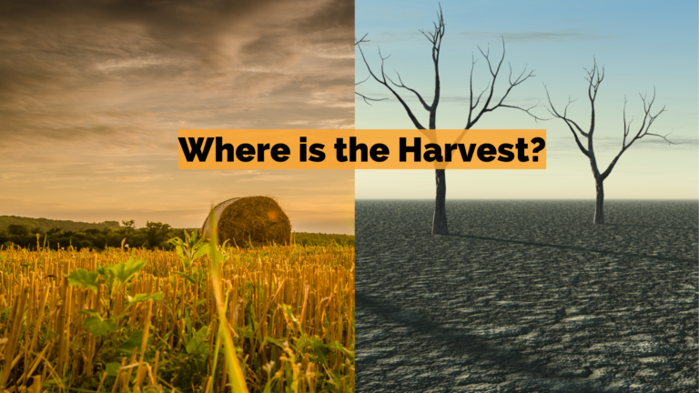 Where Is The Harvest?
